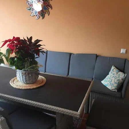 Casa Tortuga 칼레타데푸스테